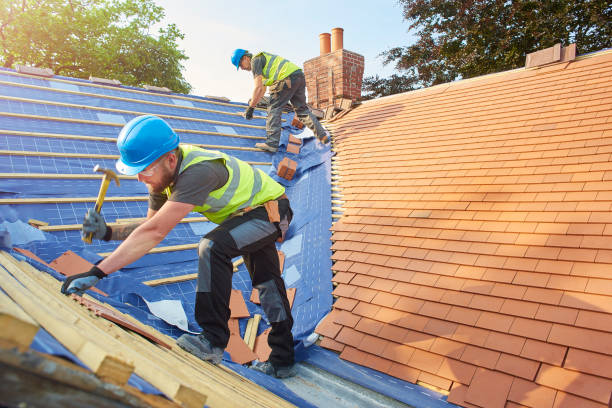 Best Metal Roofing Installation  in Lehigh Acres, FL